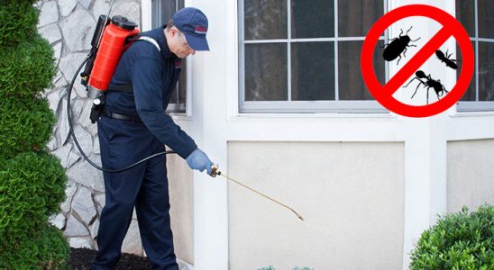 Akseki Kene İlaçlama böcek ilaçlama ve haşere kontrolü — ilaclama-tr.com
